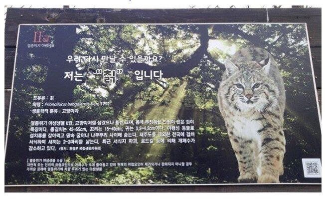 우리가 아는 그 칡 짤의 진짜 근황.jpg | 인스티즈