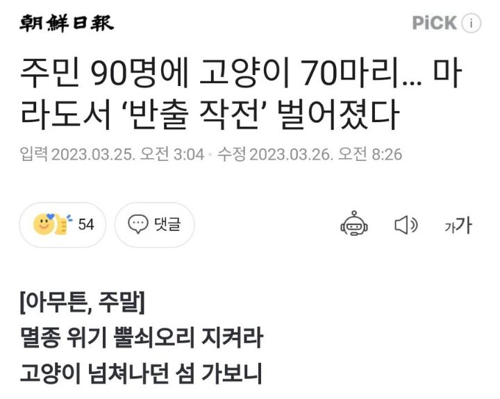 마라도 주민들 "고양이 때문에 속을 끓였는데 후련하다" | 인스티즈