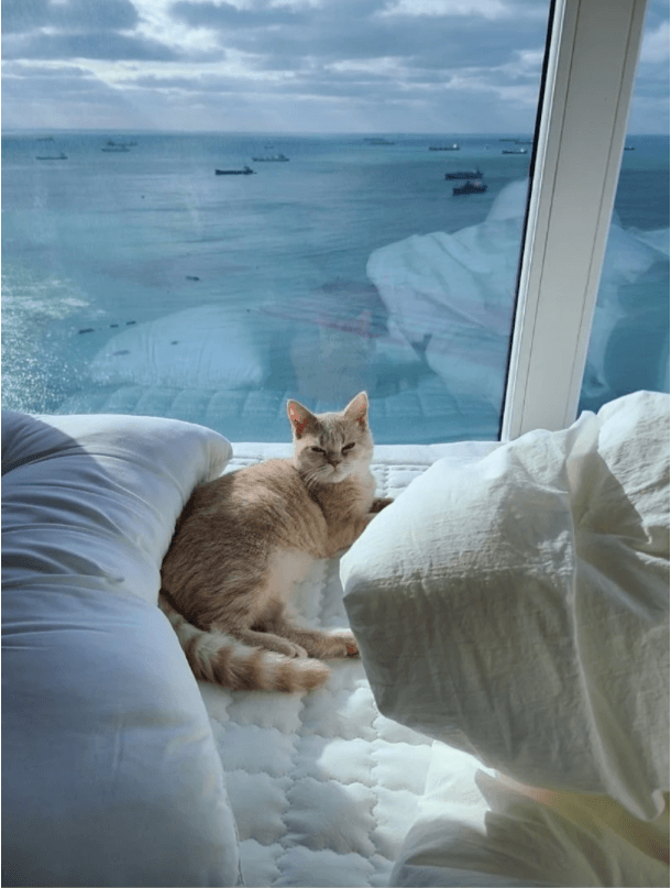 호불호 갈린다는 부산 아파트 | 인스티즈