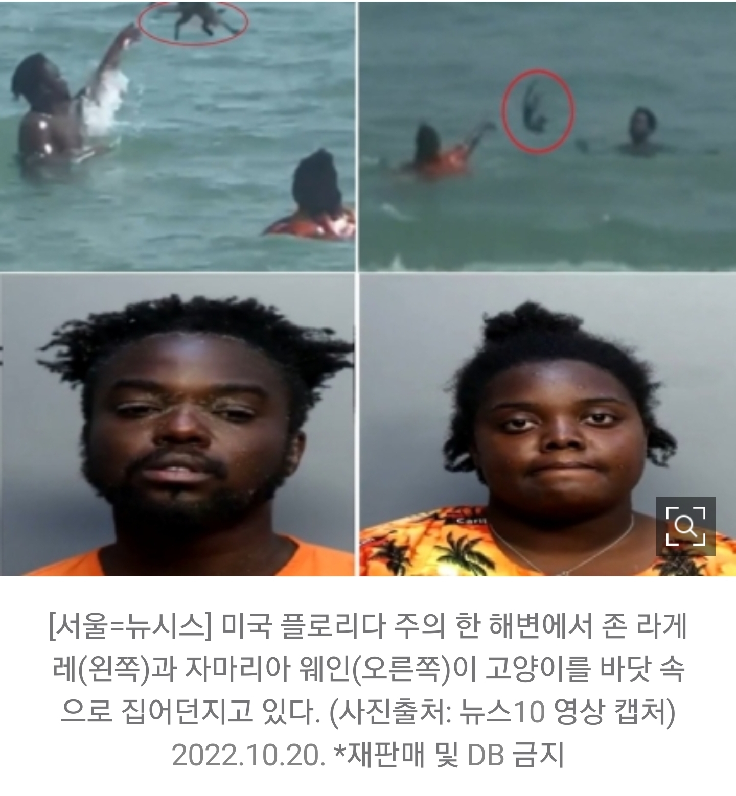 흑인 커플, 바다에서 새끼 고양이로 공놀이…"막고 싶으면 돈내라" | 인스티즈