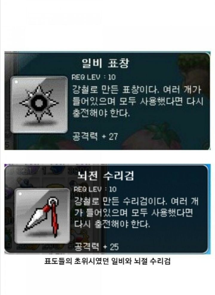 모두가 그리워하는 추억의 그 시절 옛날 메이플스토리 | 인스티즈