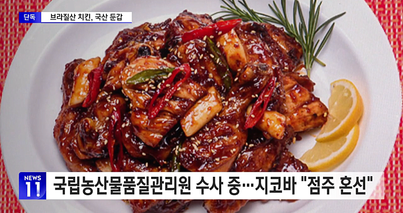 지코바 이미지