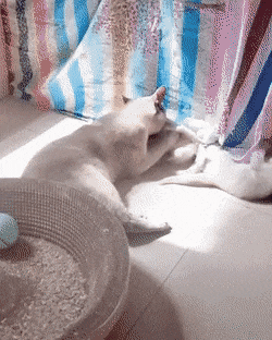 술 마시고 들어온 아버지 | 인스티즈