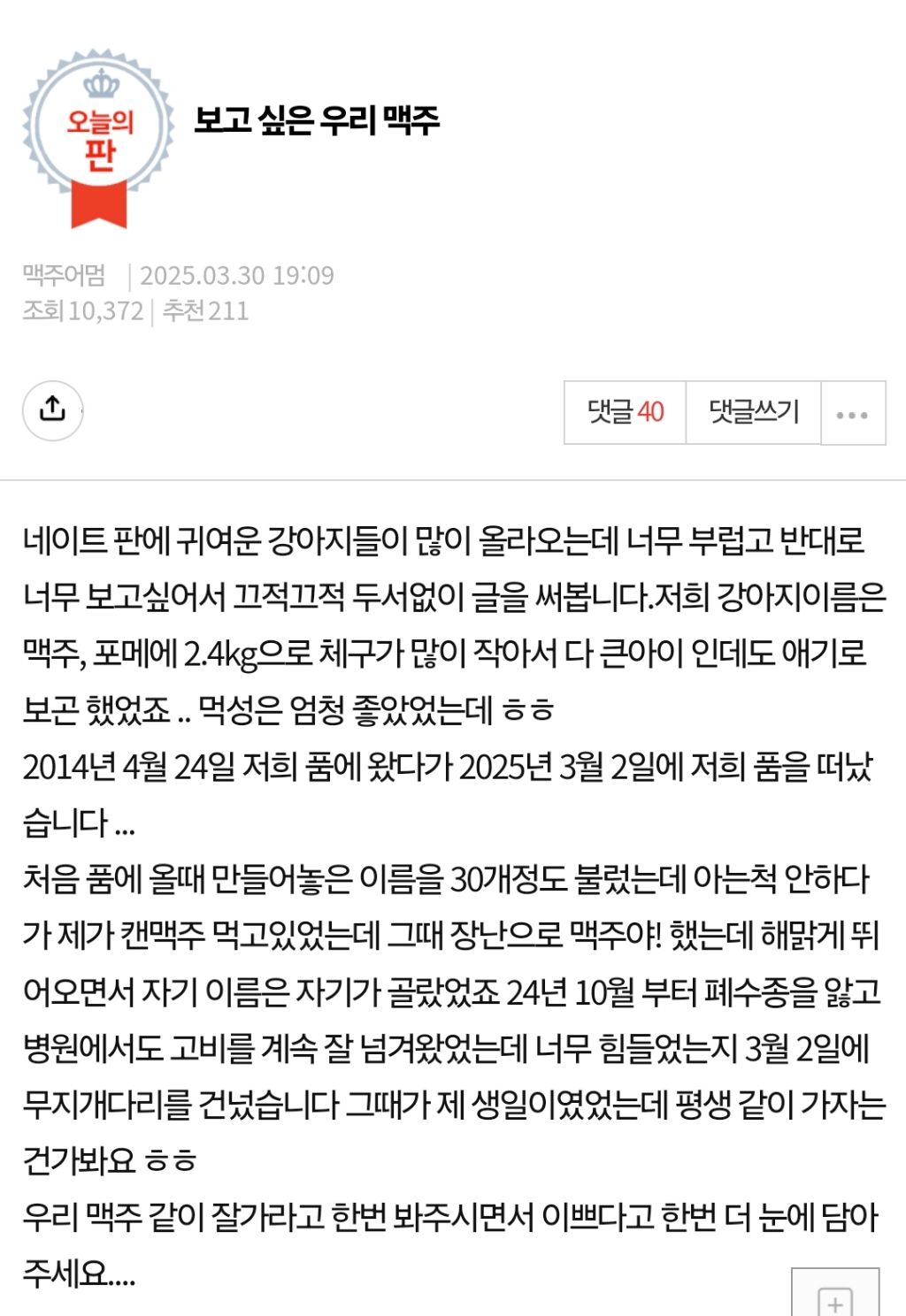 보고싶은 우리 맥주 | 인스티즈