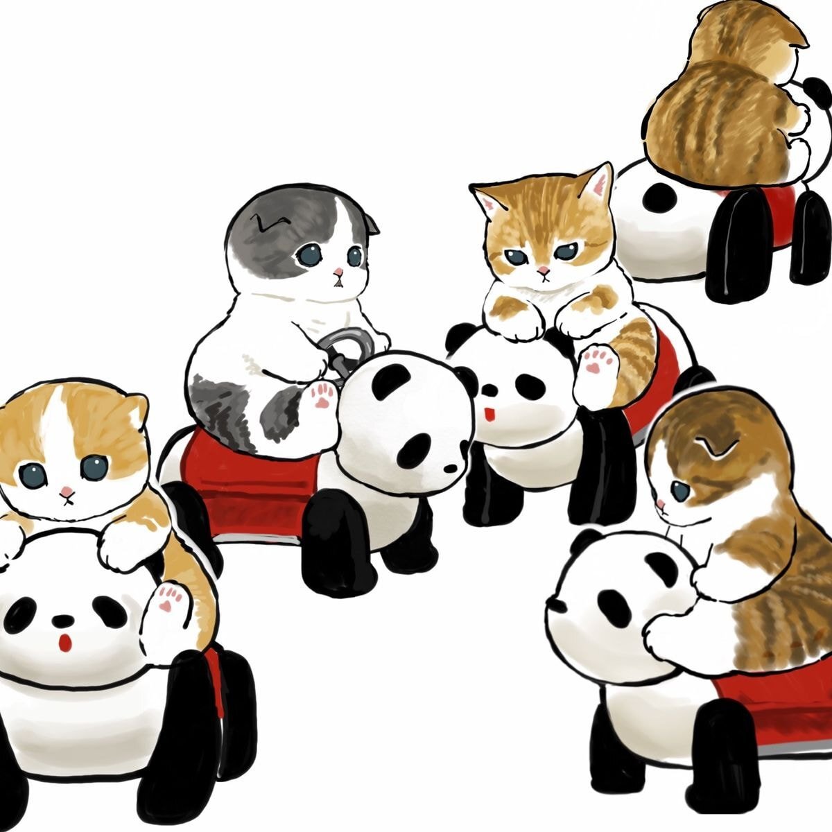 세상에서 고양이 제일 귀엽게 그리는 일러스트레이터 | 인스티즈