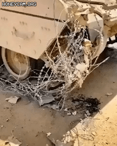 군대에서 아직도 철조망 쓰는 이유 | 인스티즈