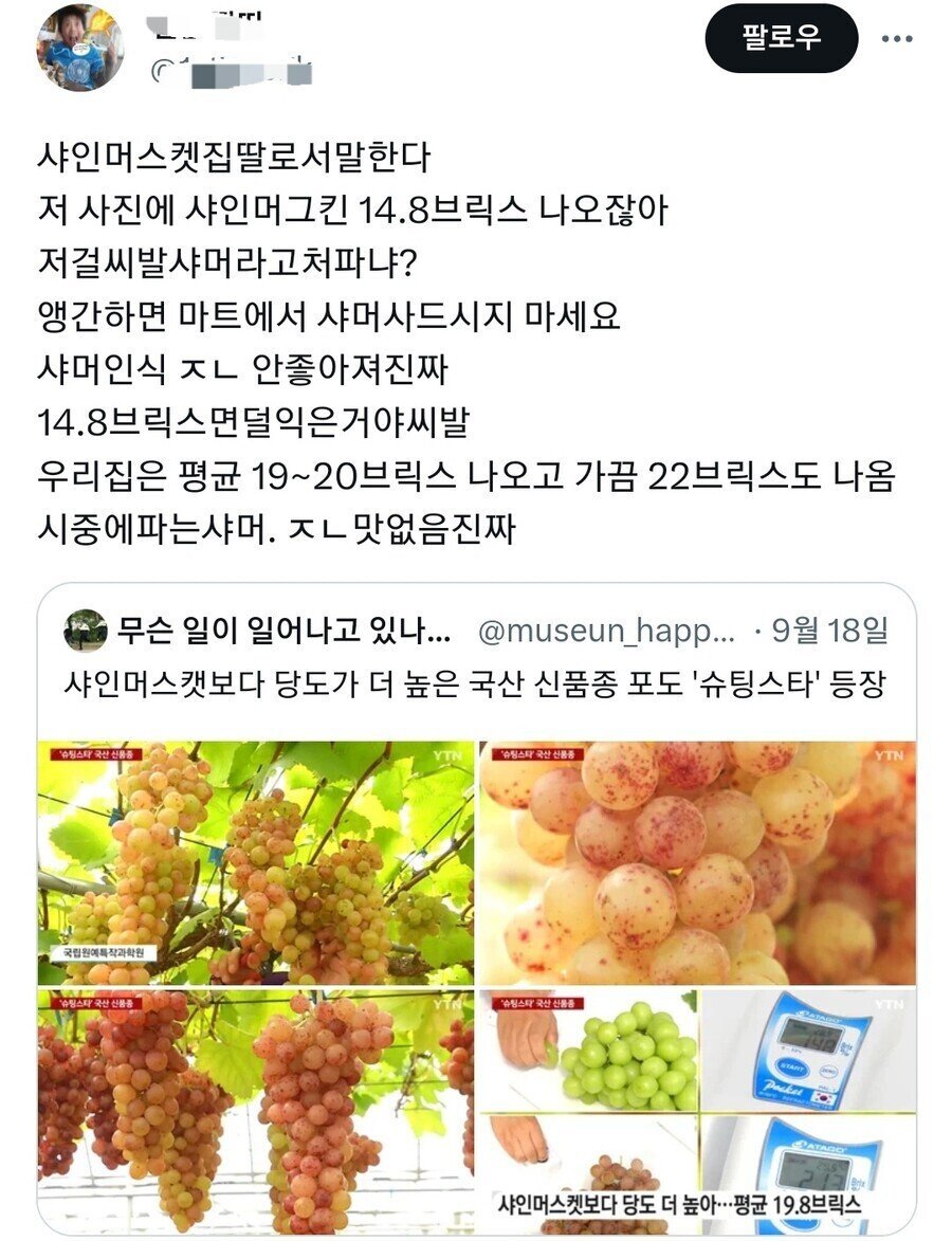 포도 신품종 '슈팅스타' 뉴스 보고 빡친 샤인머스켓집 딸 | 인스티즈