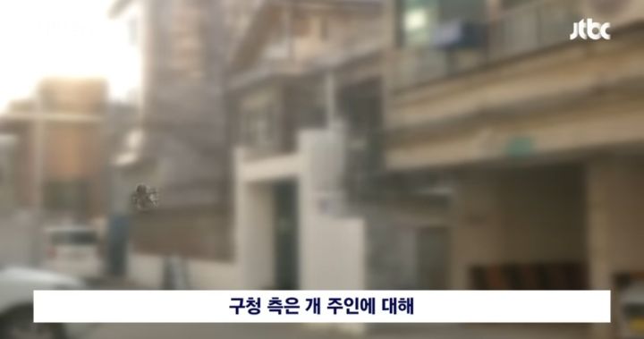 우리 개는 사람은 안물어 | 인스티즈
