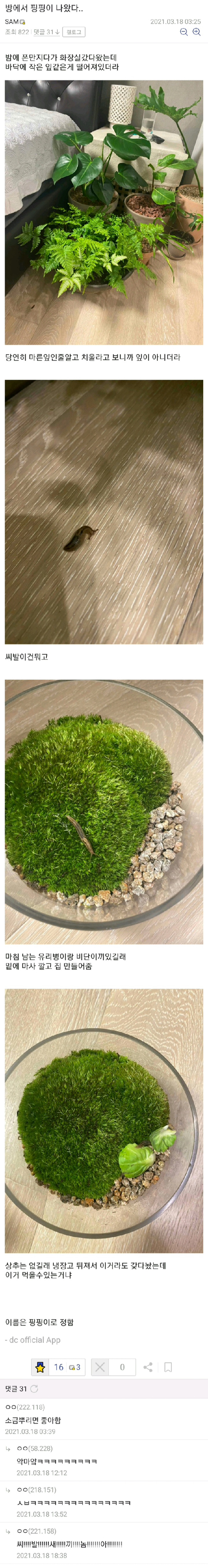 6d245e06c22cc275125b2e7565c78574dc94bdea