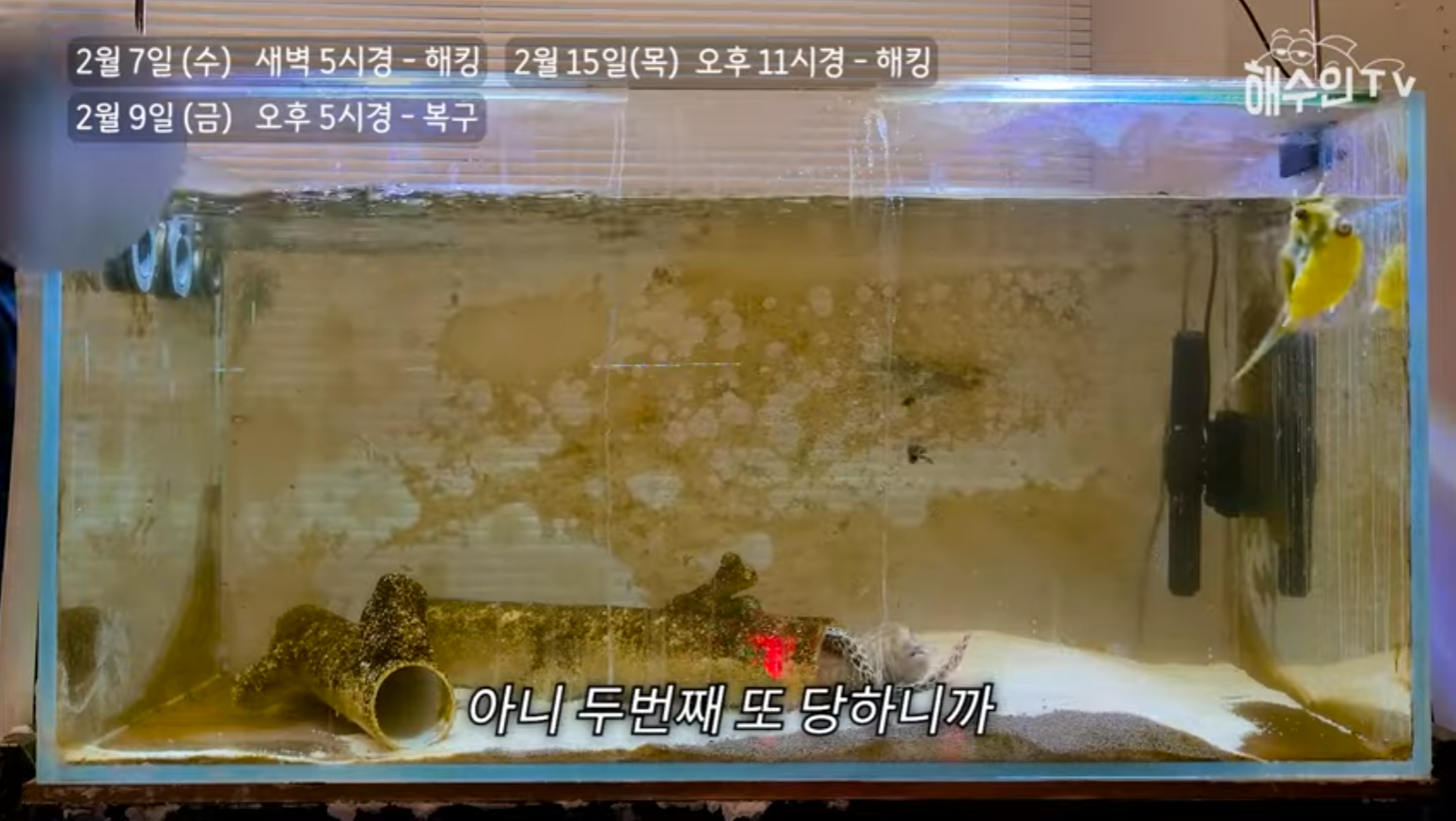 유튜브 계정이 3번이나 해킹 당한 이유 | 인스티즈