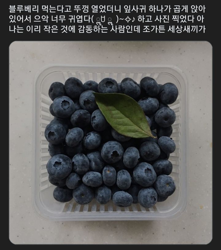 나는 이리 작은 것에 감동하는 사람인데 | 인스티즈