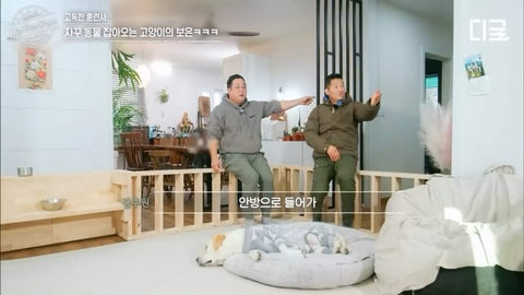 개랑 고양이 같이 키우는 집에서 방송하다 사고나서 깜짝 놀란 강형욱 | 인스티즈