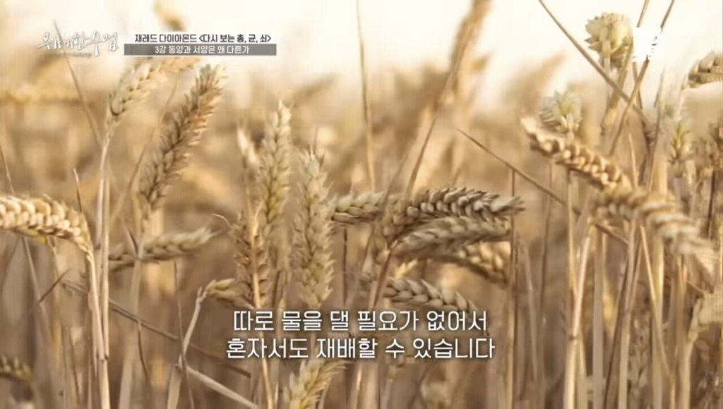 총균쇠 작가가 말하는 동서양 문화차이 원인 | 인스티즈