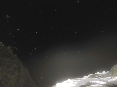 프론 크레머르스 실종사건 | 인스티즈