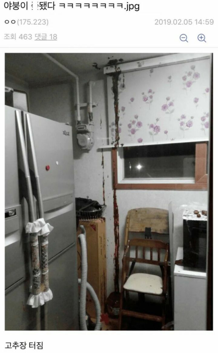 야붕이 실시간 x된 모음집 | 인스티즈