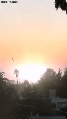 소름돋는 우주 합성짤 (우주 공포증 주의) | 인스티즈