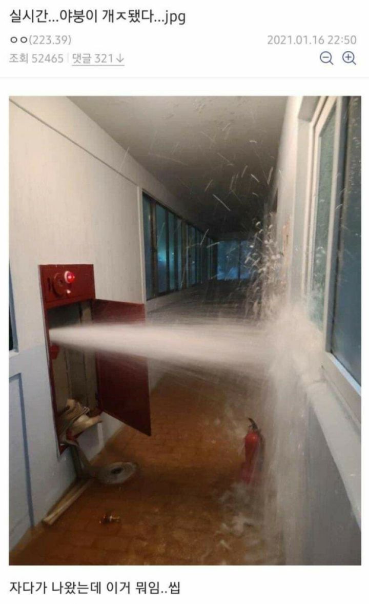 야붕이 실시간 x된 모음집 | 인스티즈