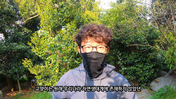 [사진100장스압] 고양이가 자연생태계에 끼치는 심각한 영향 | 인스티즈