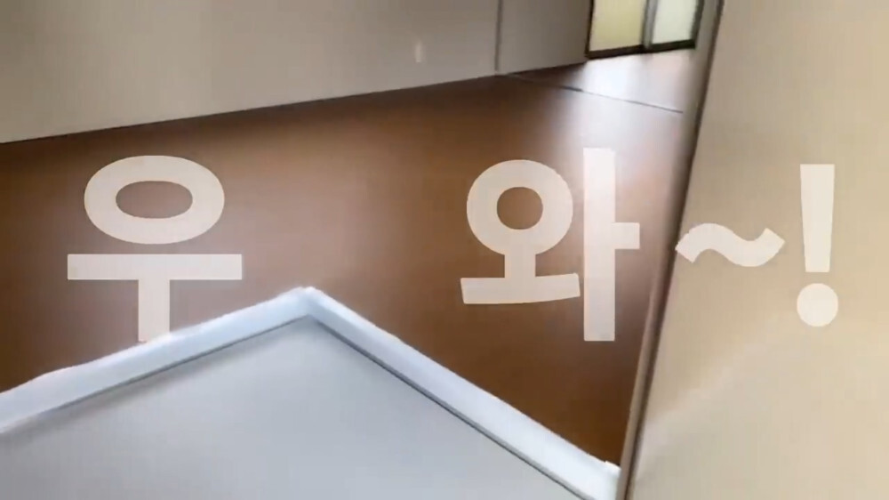 [스압주의] 일본인 캣맘 유튜버 2편 - 3천만원짜리 고양이 집 지음 | 인스티즈