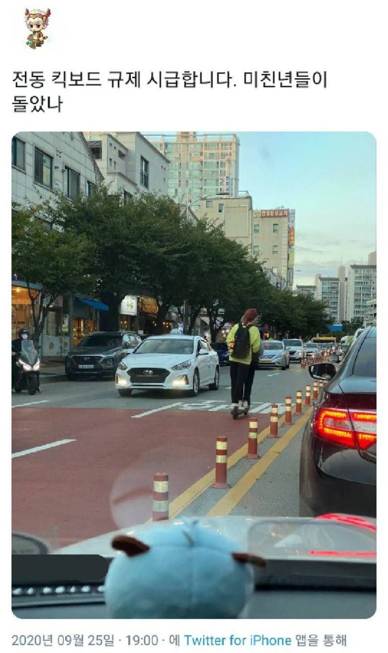 전동킥보드 역주행 | 인스티즈