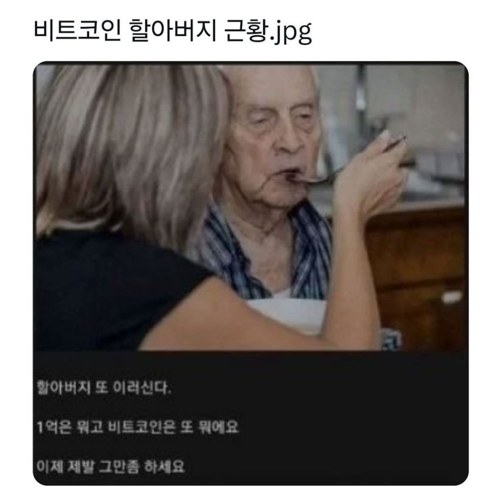 비트코인 할아버지 근황 - 웃긴자료 ‥‥‥‥‥、 - 도탁스 (DOTAX)