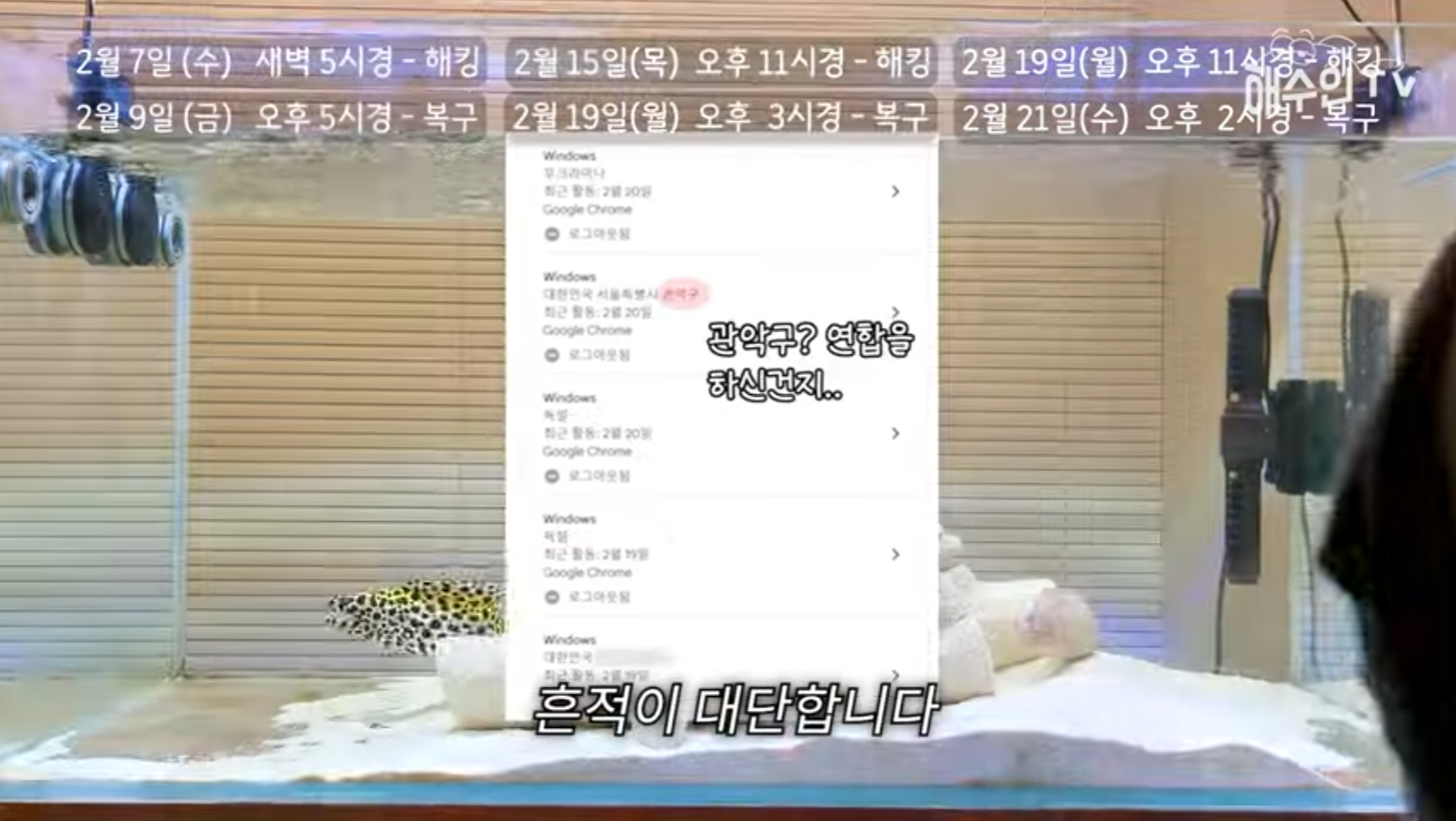 유튜브 계정이 3번이나 해킹 당한 이유 | 인스티즈