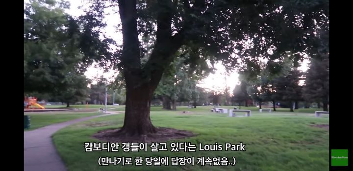유튜브에서 본 것 중 가장 위험해 보이는 체험기 | 인스티즈