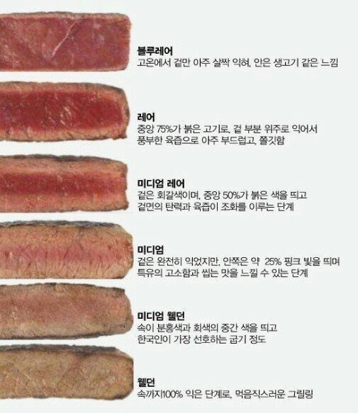 스테이크취향 고르기 | 인스티즈