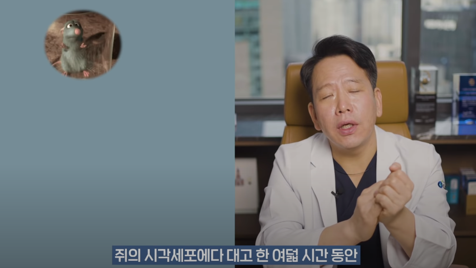 안과의사의 블루라이트 차단안경에 대한 생각 | 인스티즈