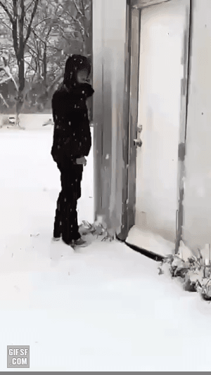 추위에 당황한 오리 | 인스티즈