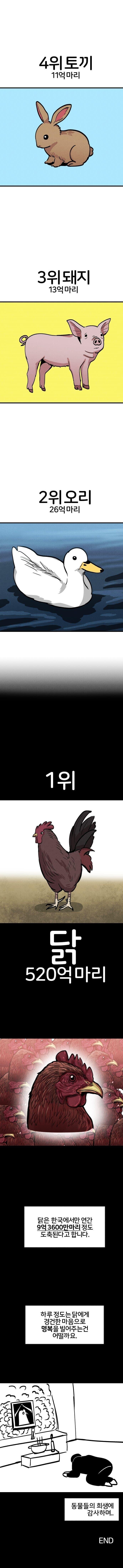전세계 동물 도축 순위 .jpg | 인스티즈