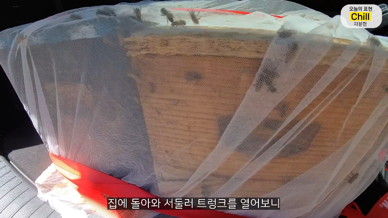 양봉 시작한 올리버쌤 근황.jpg | 인스티즈