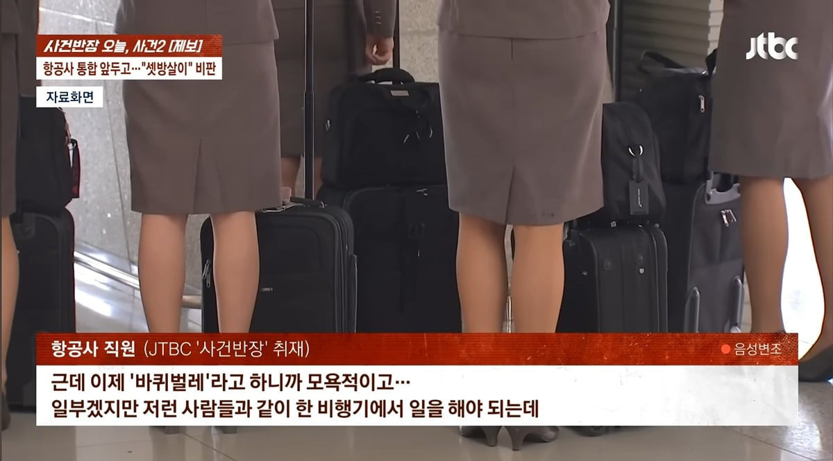 합병하고 서자취급당한다는 아시아나직원들 | 인스티즈