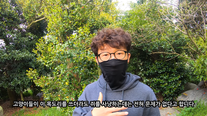 [사진100장스압] 고양이가 자연생태계에 끼치는 심각한 영향 | 인스티즈