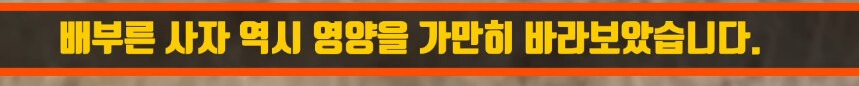 인간외에 자살을 선택하는 동물이 있을까? | 인스티즈