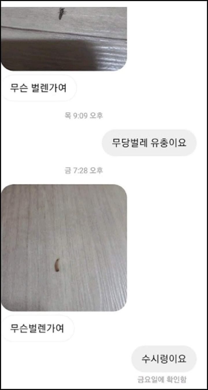 모르는게 없는 유튜버ㅋㅋㅋㅋㅋㅋ.jpg | 인스티즈