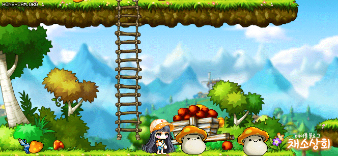 메이플스토리 데미지 스킨 모음 | 인스티즈