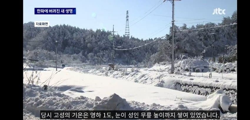 한파에 버려진 갓난아기 | 인스티즈