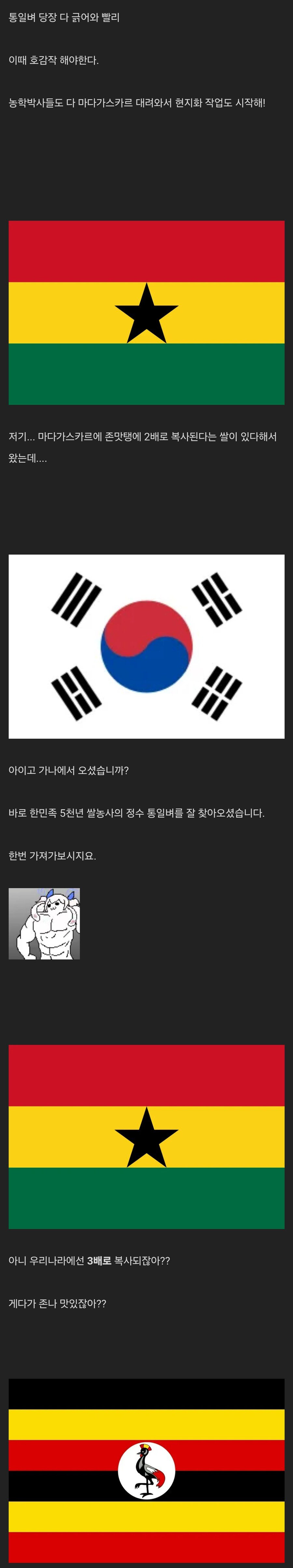 우여곡절 통일벼의 아프리카 정착기 | 인스티즈