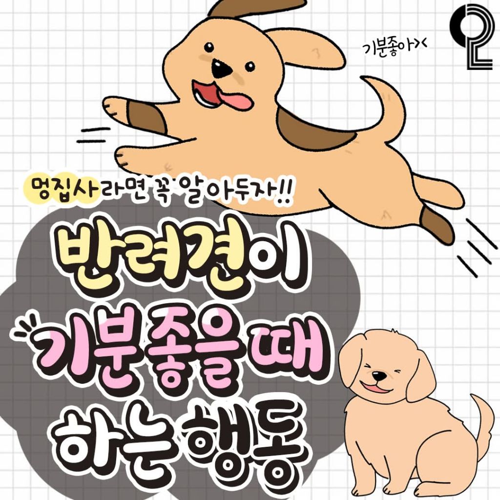 반려견이 기분좋을때 하는행동 | 인스티즈