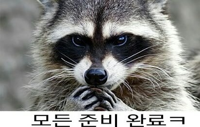 가자 이미지
