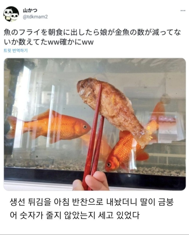 아침마다 딸이 기이한 행동을 해요 | 인스티즈