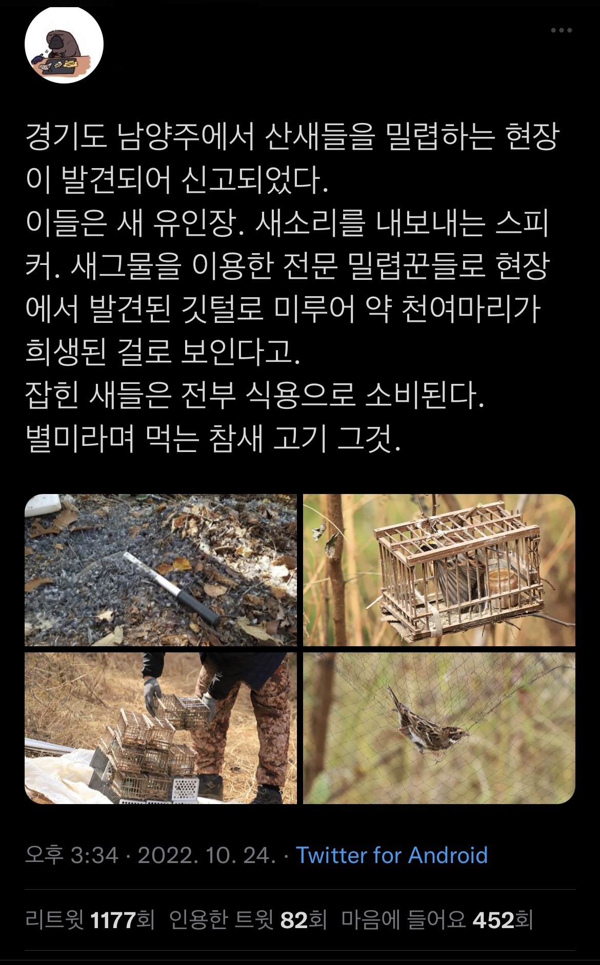 최근 남양주에서 참새고기로 1000여마리 산새들을 밀렵하는 현장 발견. 밀렵과 남획, 농약 살포, 서식지교란으로 산새들 점점 사라져 | 인스티즈