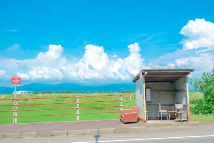 애니메이션 배경풍 사진 찍는 일본 여고생들 | 인스티즈