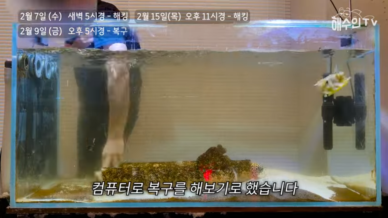 유튜브 계정이 3번이나 해킹 당한 이유 | 인스티즈