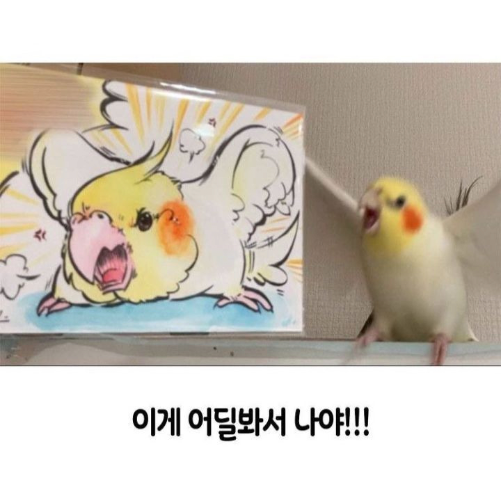 이게 어딜봐서 나야!!! | 인스티즈