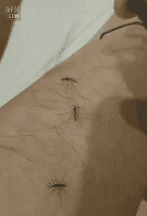 736bf008a17788cb2e1a2f20694e157456f22cb2