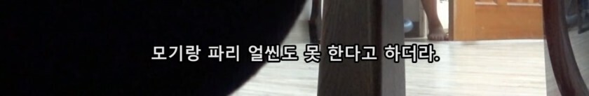 모기 때문에 고생하는 여동생 | 인스티즈