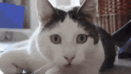 개인기 | 인스티즈