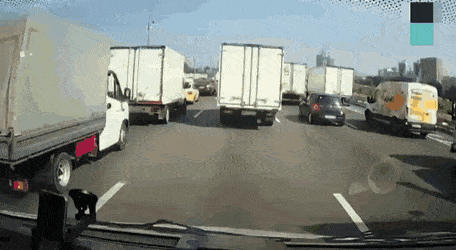 고속도로의 아기 고양이를 구한 트럭 운전자 | 인스티즈